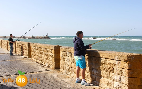 مجموعة مميزة من الصور لميناء يافا والشاطئ بعدسة موقع يافا 48 